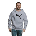 Blusa Moletom Puma Com Capuz Premium